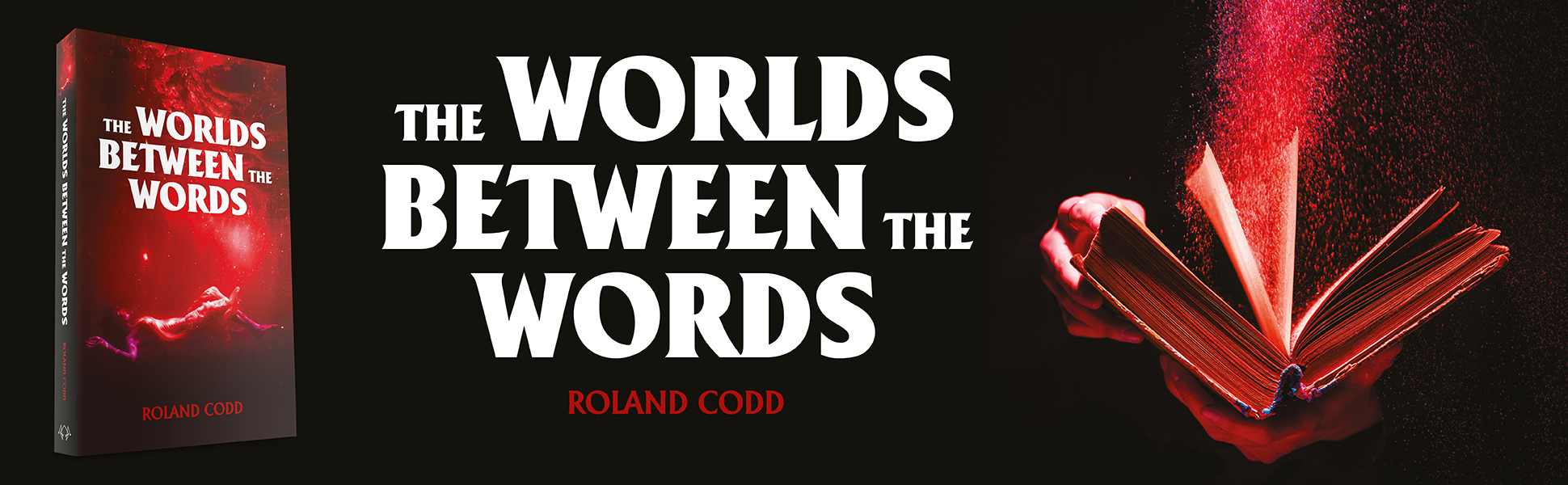 The Worlds Between the Words by Roland Codd