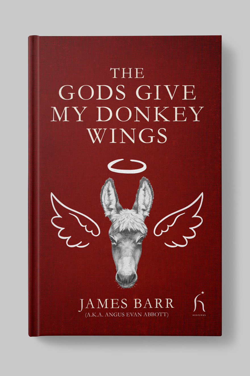 Front of the book cover to The Gods Give My Donkey Wings showing the head of donkey with a handrawn halo and angelic wings